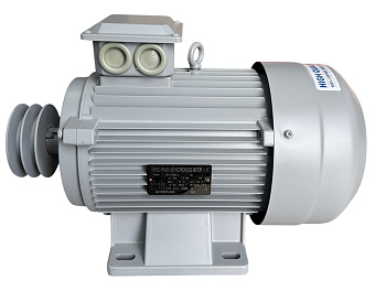 Photoroom_20260220_160825