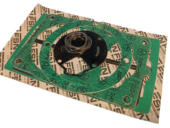 Набор прокладок BK 20 старый код 213146001