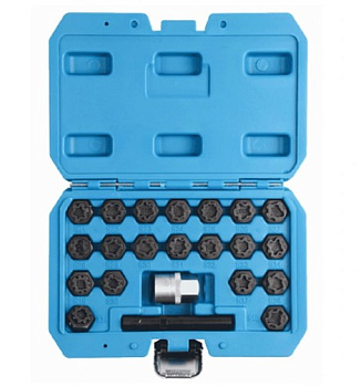 Набор головок для демонтажа секретных болтов VAG 22 шт. 113813A