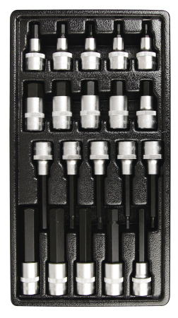 Набор головок 1/2" с шестигранниками в ложементе, 20 предметов.  T33225